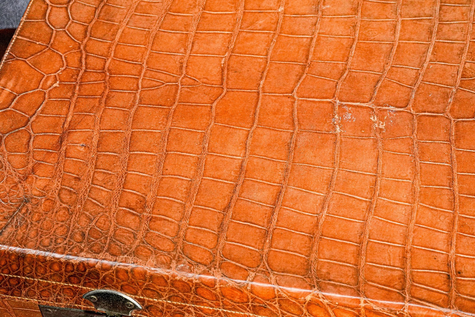 Large Light Brown Luxury Antique Crocodile Leather Travel Luggage Suitcase
