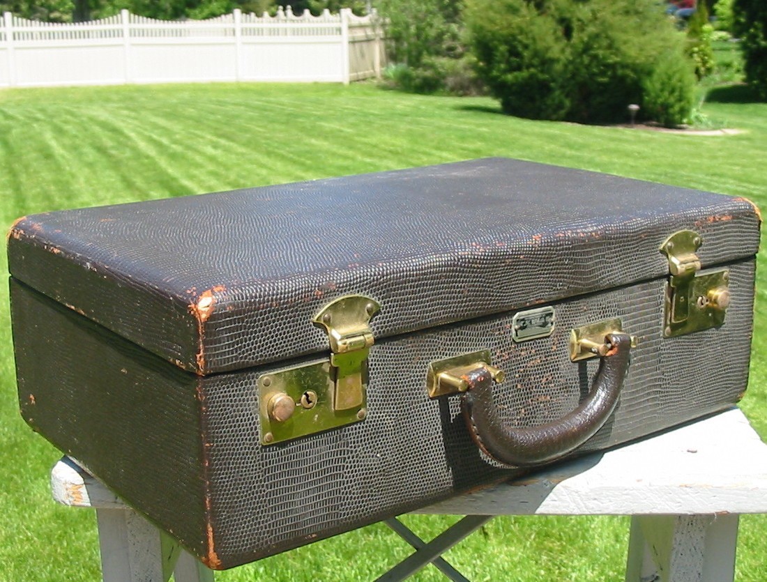 Vintage Faux Snake Skin Vanity Train Case Mirror Travel Makeup Box Luggage