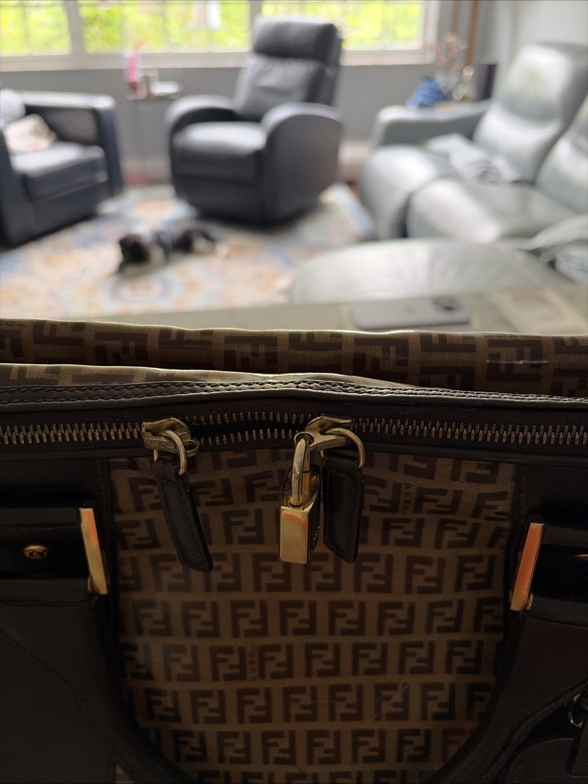 Fendi Roma Women’s Carry On Luggage