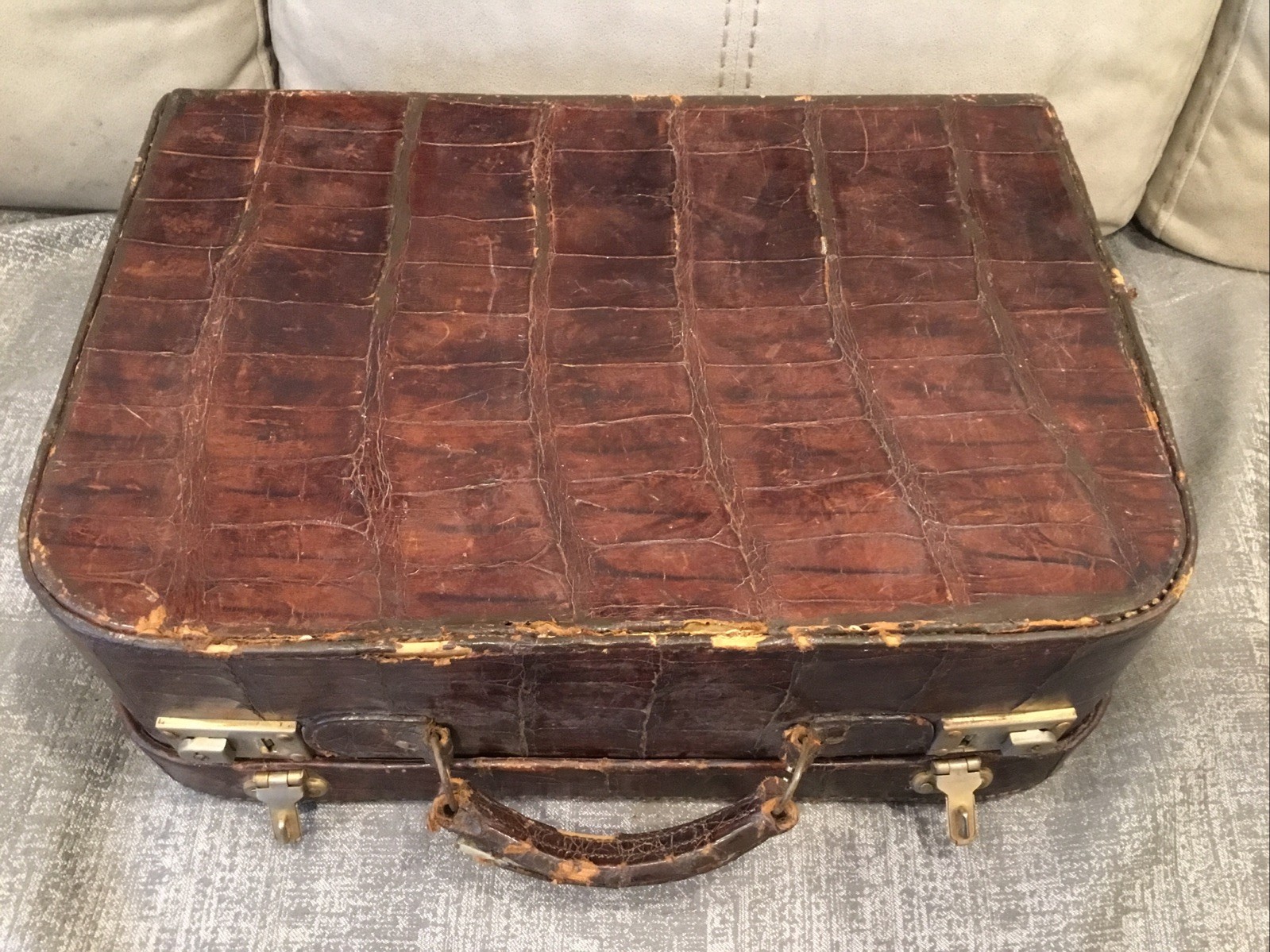 Antique Aligator Suitcase Luggage