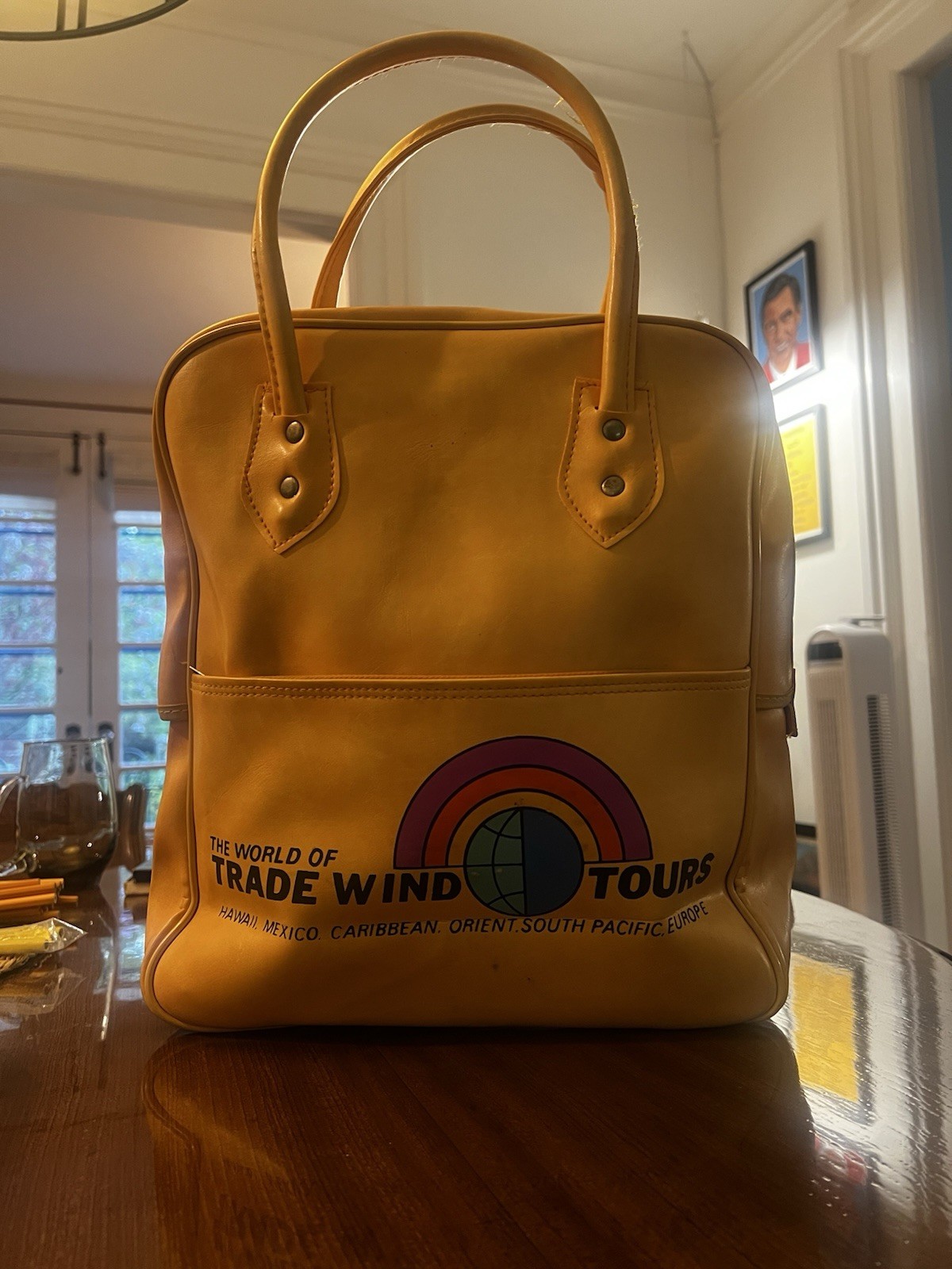 Vintage Travel Bag trade wind tours