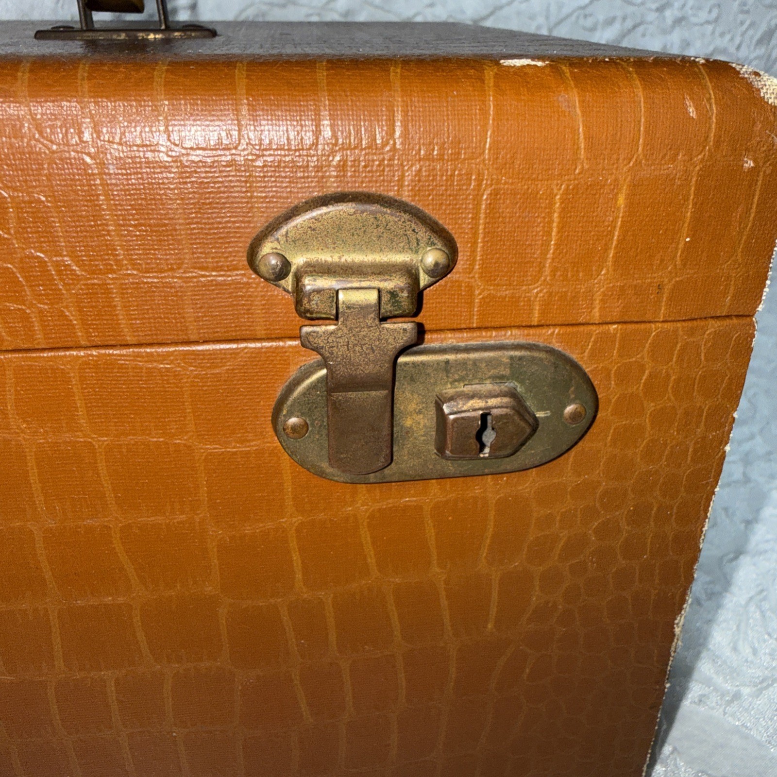 Vintage 50’s 60’s 13” Lucite Handle Brass Travel/Storage Case Faux Alligator