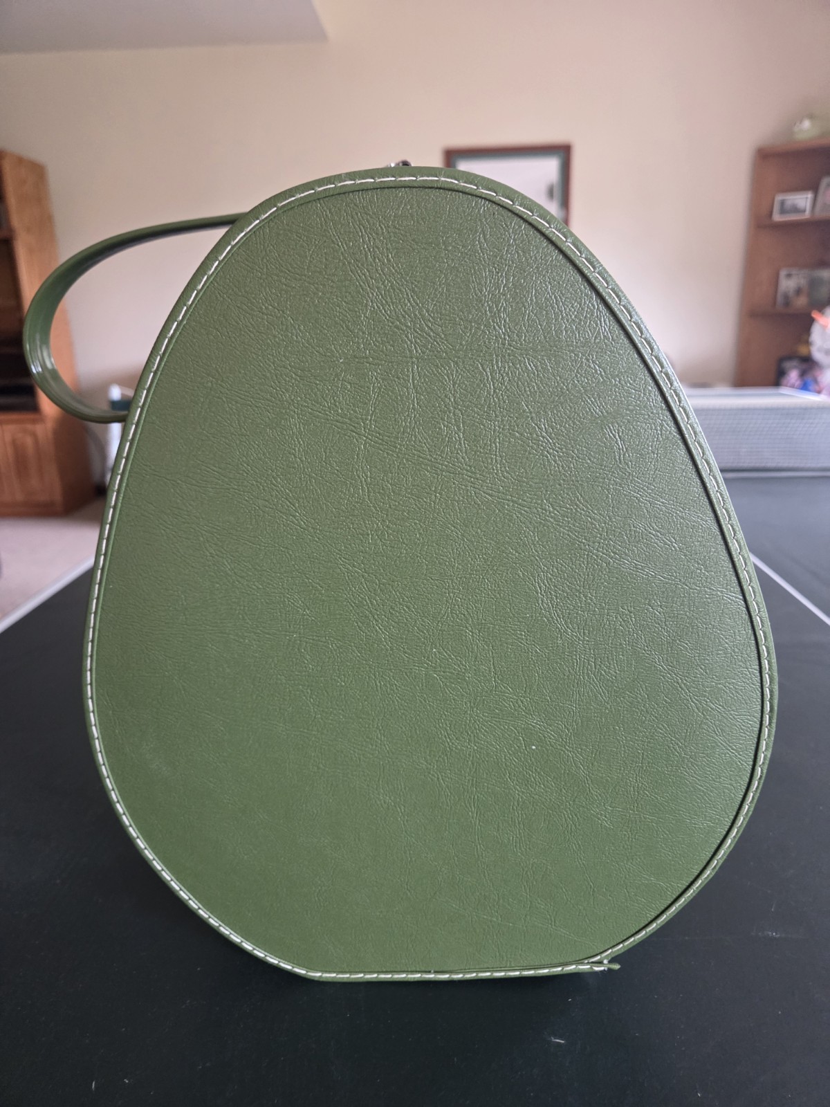 Vintage Suitcase Oval Train Case Egg Shape 1960 Carry On Bag