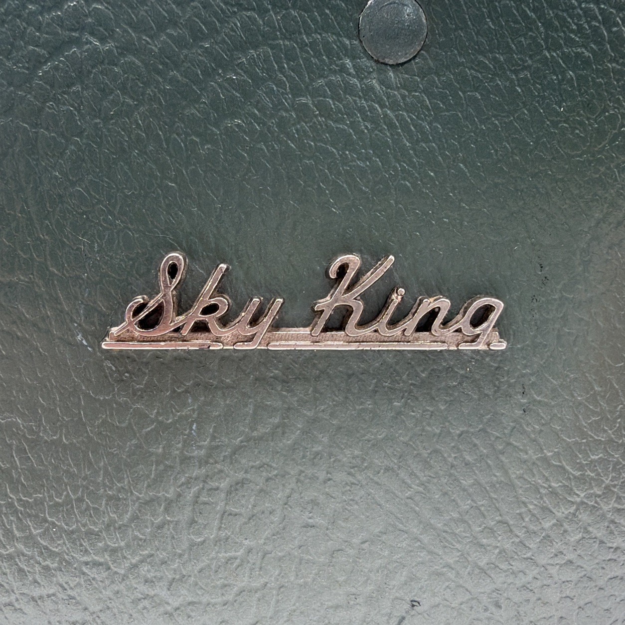 Vintage Sky King Train Travel Case 60’s Cosmetic Carry on. Avocado Green