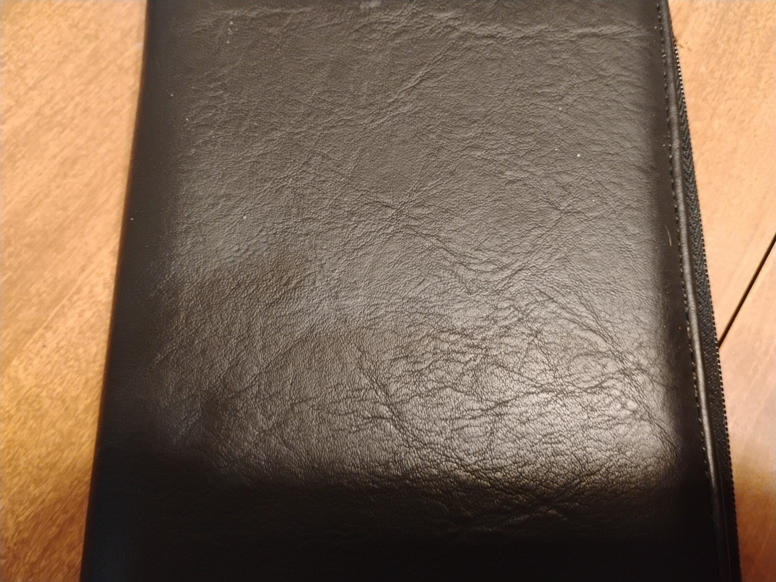Vintage Delta Vacations Travel Case Black Leather Zipper Close Unique USA Nice